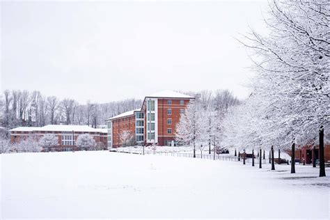 Photos: Starting the Year With Snow