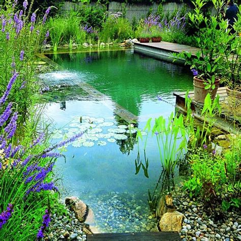 Amazing Backyard Swimming Ponds Ideas 16 | Natural swimming ponds, Swimming pool cost, Natural ...