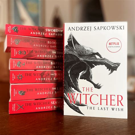 The Witcher Series by Andrzej Sapkowski | Hachette Book Group