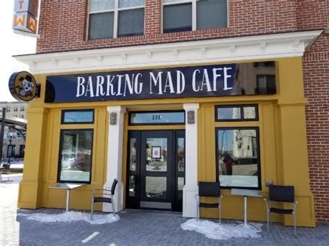 28 Barking Mad Cafe Gaithersburg Motif Baru!