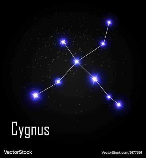 Cygnus constellation with beautiful bright stars Vector Image