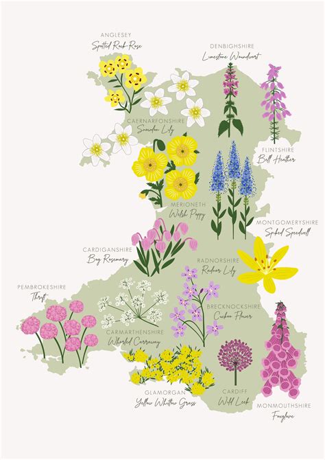 Flower Map, Wales Map, County Map, Garden Journal, Cymru, Illustrated ...