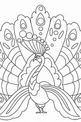 Peacocks Coloring Pages For Adults  Download Print And Online sketch template