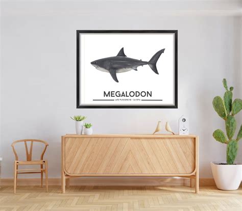 Megalodon Shark Poster – Little Grippers Store NZ