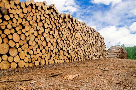 Softwood Lumber Agreement Expiration | Canadian Engineered Wood Products