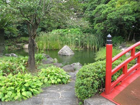 Jeju Island , Botanical Garden, Kal Hotel Stock Photo - Image of ...