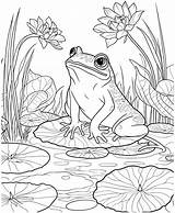 realistic frog On The River coloring Pages 27303717 Vector Art At Vecteezy sketch template