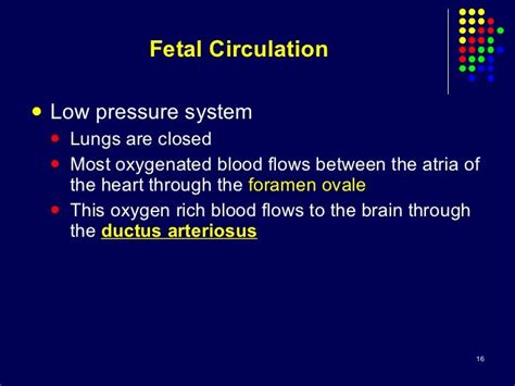 1-fetal circulation