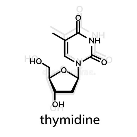 Thymidine chemical formula. On whiite background , #Aff, #chemical, # ...