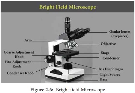 Bright Field Microscope