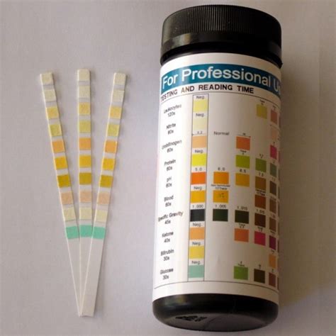 Albumin Urine Test | Diet