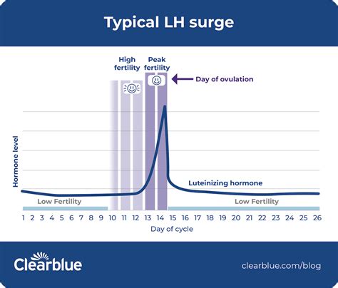 What is luteinizing hormone? — Clearblue®