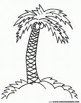 Palm Tree Coloring Pages To Print  Home sketch template