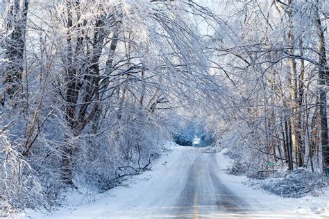 Ice Storms: How to Prevent Possible Damage - Will Marshall