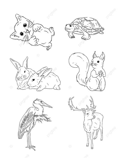 Little Animals Drawing