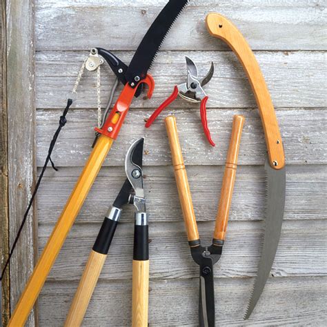 Essential Tools for Pruning and Trimming