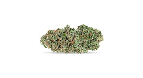 Best Indica Strains In Scarborough. Legal Indica Strains For Pain & Sleep