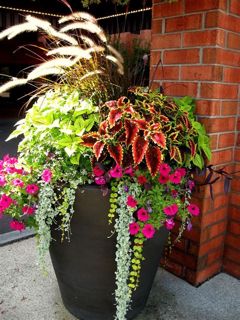 #2 Gorgeous outdoor planter. | Container gardening, Porch flowers, Front porch flowers