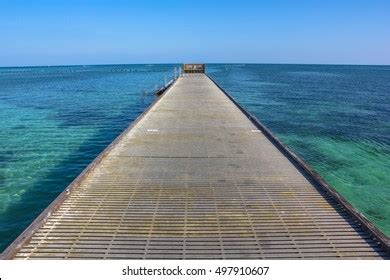 150 Higgs Beach Images, Stock Photos & Vectors | Shutterstock