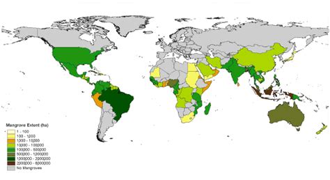 STATUS AND TRENDS IN MANGROVE AREA EXTENT WORLDWIDE