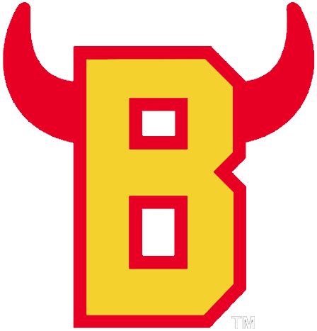 Belleville Bulls Alternate Logo - Ontario Hockey League (OHL) - Chris ...