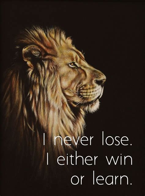 Pin by Lisa Alverson on Lion images | Lion quotes, Inspirational animal quotes, Warrior quotes