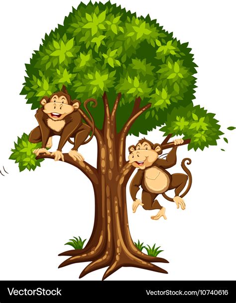 Two monkeys on tree Royalty Free Vector Image - VectorStock