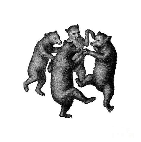 Vintage Dancing Bears by Edward Fielding | Dancing bears, Bear paintings, Bear illustration