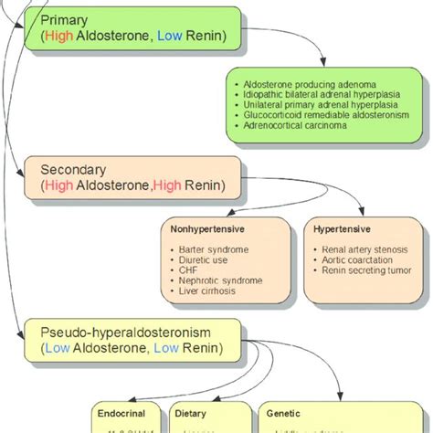 Complications related to excess licorice intake. | Download Table