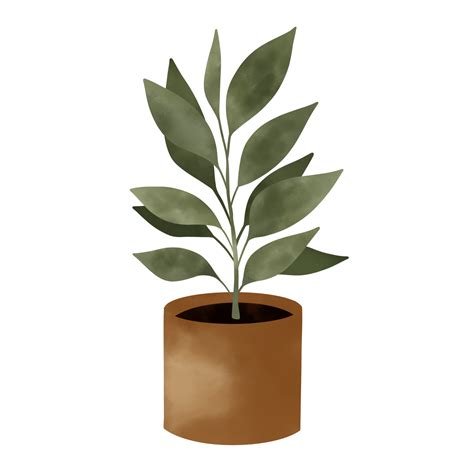 Potted Plants Illustration. House Plants. 15341583 PNG