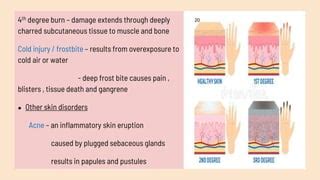 INTEGUMENTARY SYSTEM.pptx