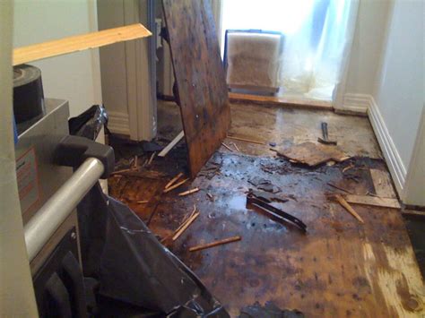 Cleaning up Your Home After Flood Damage: What to do After a Disaster