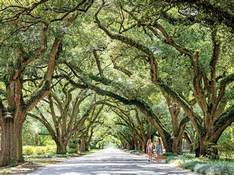 Aiken, South Carolina: A Horse-Country Town Rich in Tradition ...