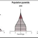 Indonesia Population Pyramid 1950-2050 | Download Scientific Diagram