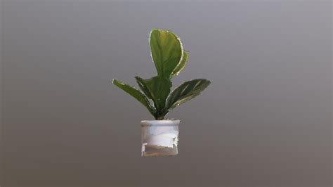 House Plant - Download Free 3D model by eecarrie [605d070] - Sketchfab