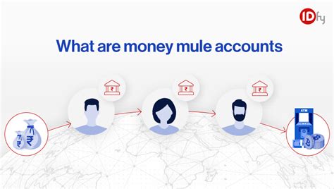 Who are money mules? | Money mule accounts - IDfy