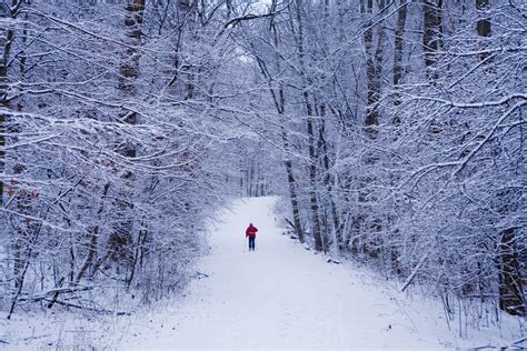 Things to Do in Illinois This Winter