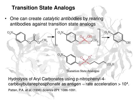 PPT - Enzymes PowerPoint Presentation, free download - ID:307108