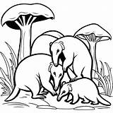 Anteater Family coloring Page Lulu Pages sketch template