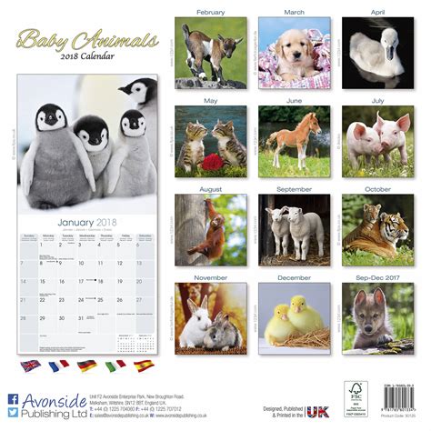 Baby Animals Calendar 2018 | Pet Prints Inc.