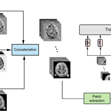 Overview of the proposed n-CNN-ViT architecture. The model is composed ...