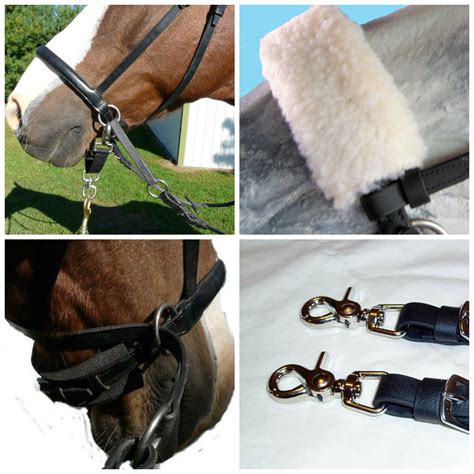 Bitless Bridle Accessory Package - The Bitless Bridle by Dr. Robert Cook