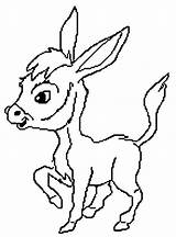 Donkeys Coloring Pages  Kids sketch template