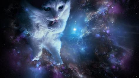 Gatos en el espacio, gatito espacial fondo de pantalla | Pxfuel