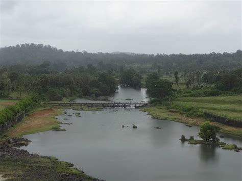 ಹಾರಂಗಿಯಲ್ಲಿ ದೇವರ ಮೀನಿನ ರಕ್ಷಣೆಗೆ ಮತ್ಸ್ಯಧಾಮ | Conservation of Mahaseer fish in Harangi, Coorg ...