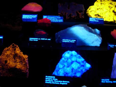 Glow in the dark rocks. | In the black light room at the roc… | Flickr