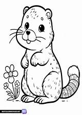 Groundhog Day coloring Pages  Bestcoloringpagesnet sketch template