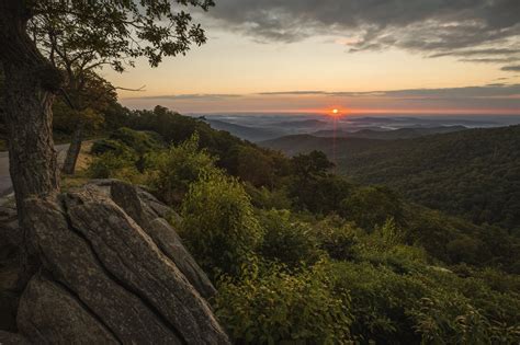 Download Shenandoah National Park Virginia (State In USA) USA Scenic Nature Tree National Park ...