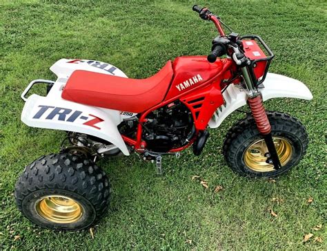 1986 Yamaha Tri-Z 250 ATC | Atv quads, Yamaha 250, Yamaha