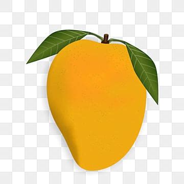 Mango Clipart Images | Free Download | PNG Transparent Background - Pngtree